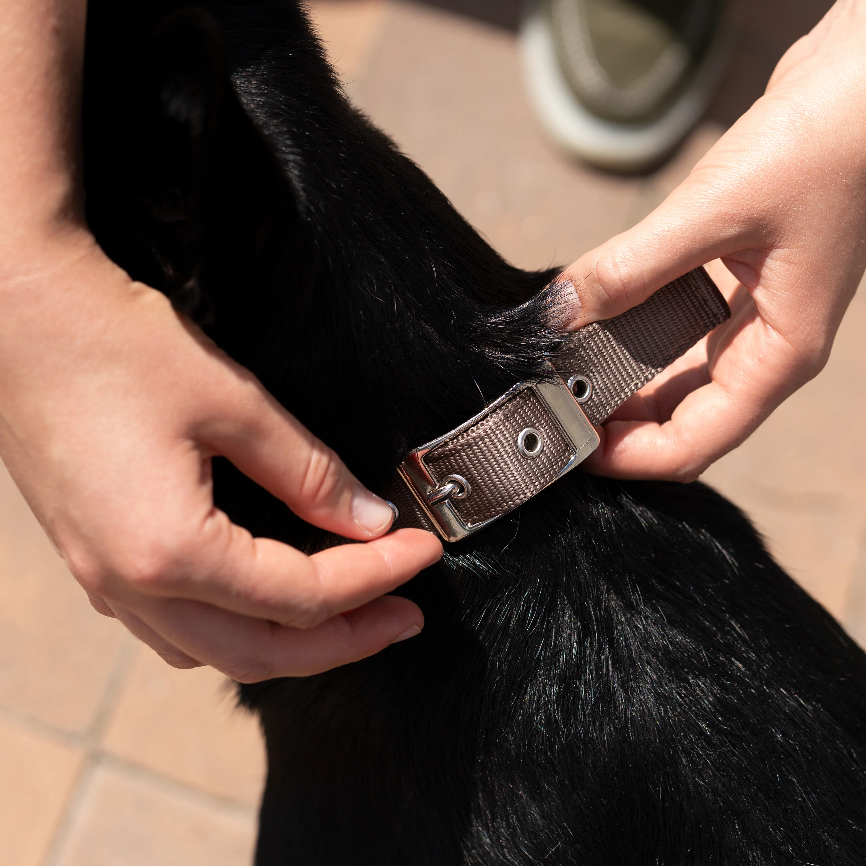 Product image 101
