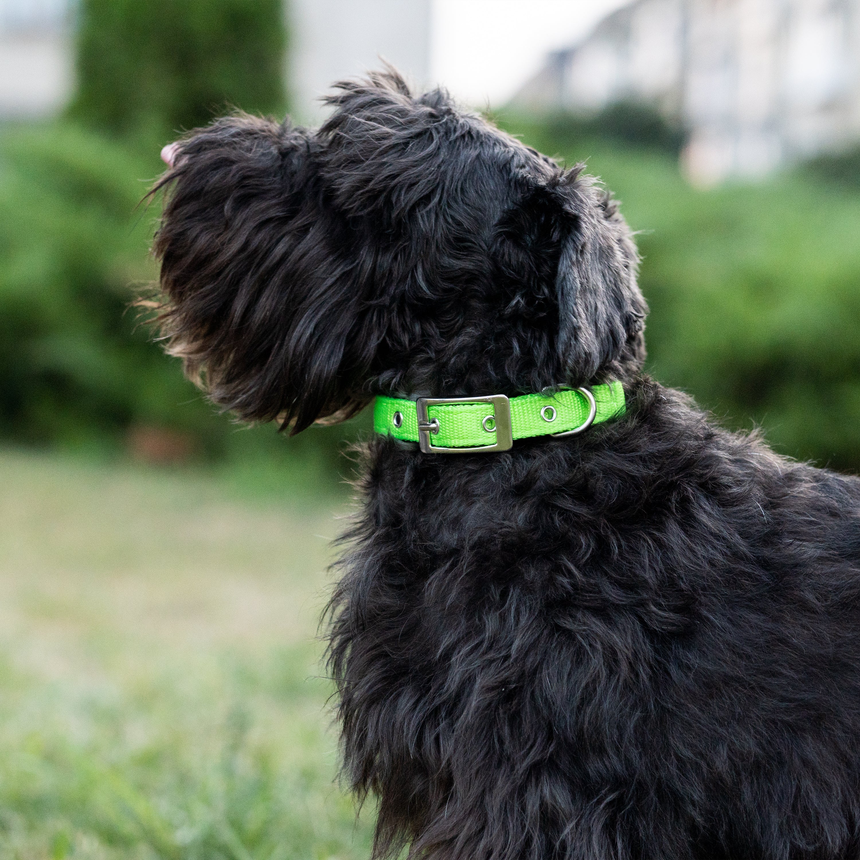 Product image 82