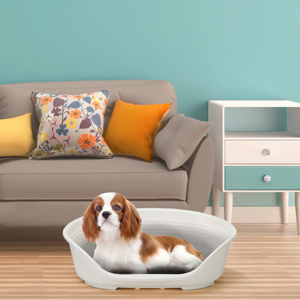 Product image 67